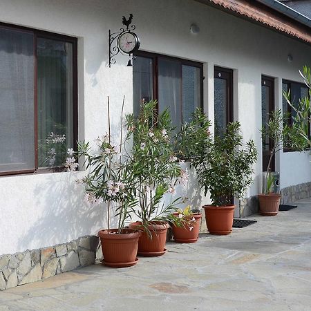 Guest House Dar Tryavna Exterior photo