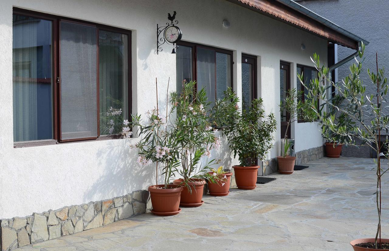 Guest House Dar Tryavna Exterior photo